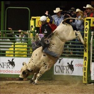 Meet your Posher, Tj